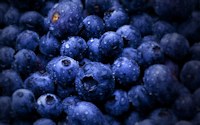 Blue Berries support memory with antioxidants and anti-inflammatory effects