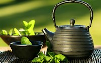 Green Tea is a rich source of antioxidants