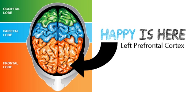 Happiness is in the left prefrontal cortex