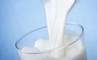 Milk contains Alpha-lactalbumin