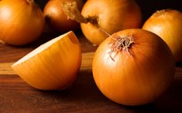 Onion provides qiercetin